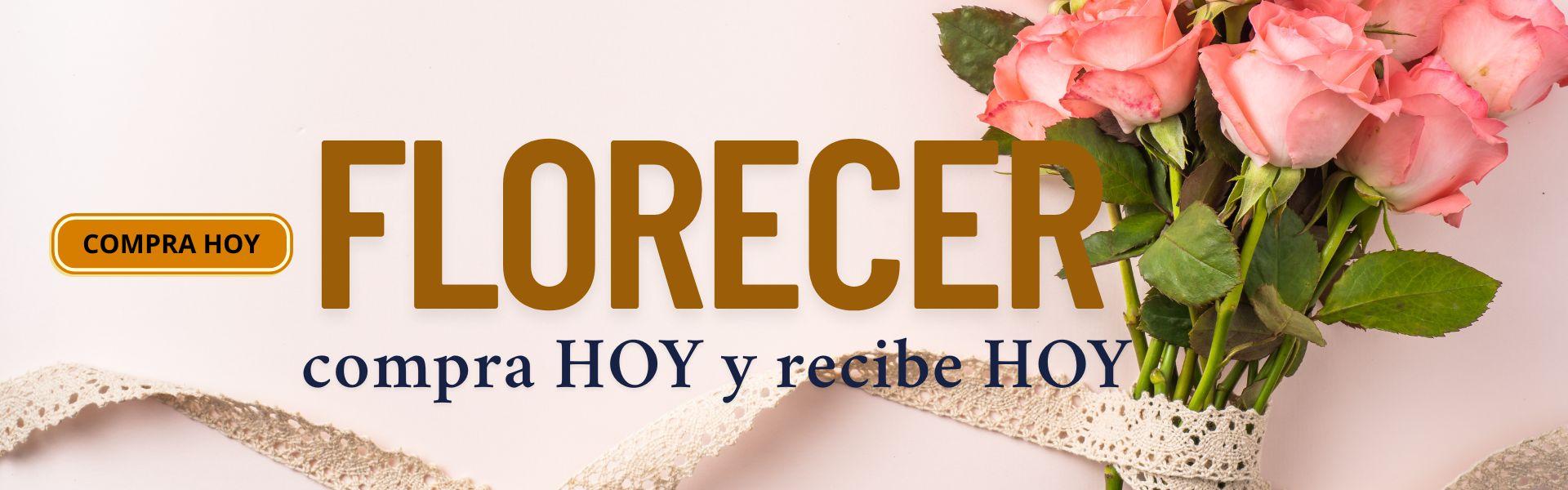 flores|floristerias en barranquilla