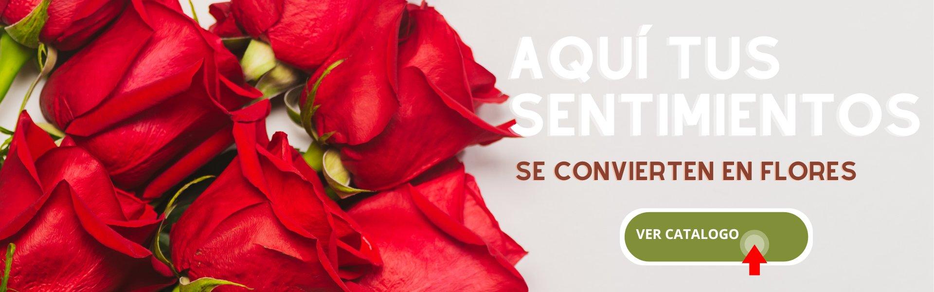 flores|floristerias en barranquilla